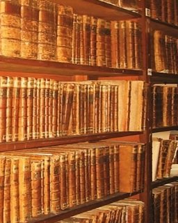 �����-������������� ������ ������ ���������� �������� ���� �������� � ����� ������