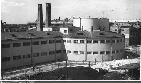 � ���������� ����������� ������ ���������� ���� "������" 