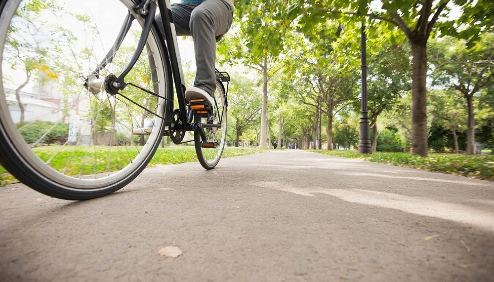 ����� ����� �. �������� ������������ � ������� 