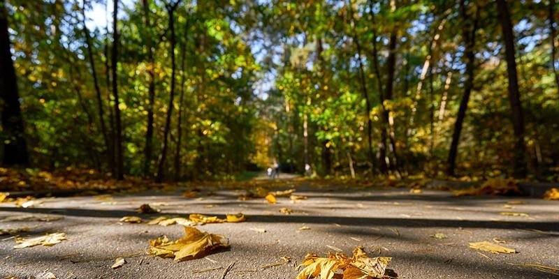 Жилые кварталы ТиНАО и Говоровский лес свяжет экологическая тропа