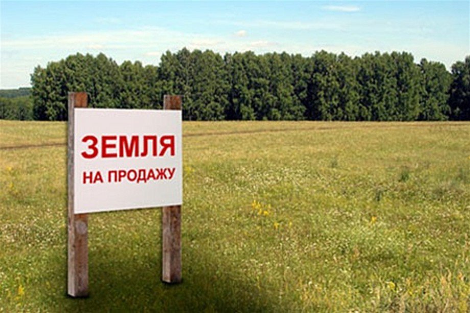 Земля под масштабные инвестиционные проекты в Новгородской области будет выделяться без проведения торгов