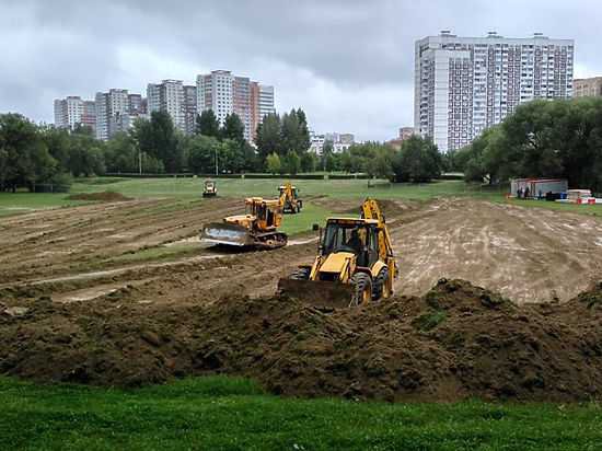 Застройщик парка "Дружба", возможно, самовольно занял землю.