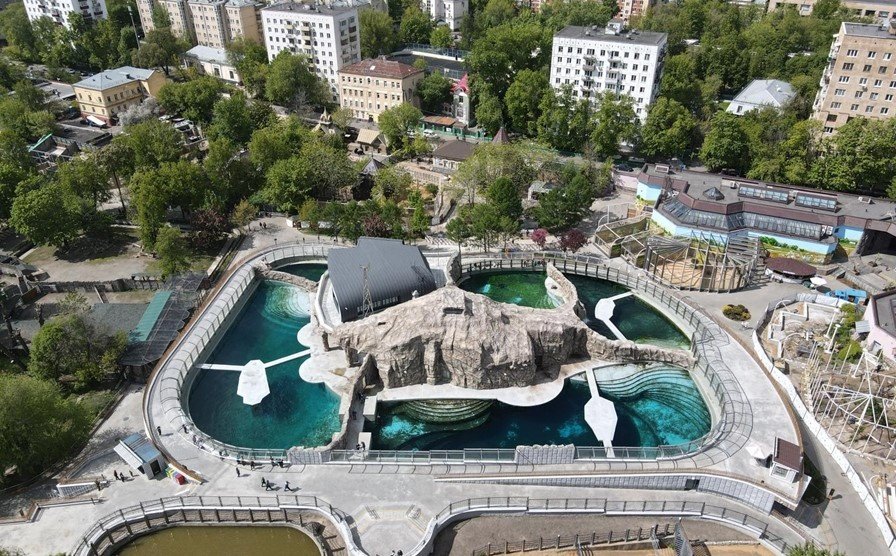 Морские котики, тюлени и слоны обрели новые дома. Особенности реконструкции павильонов Московского зоопарка