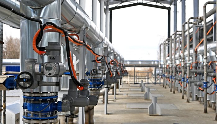 � ������ ����� ������ ��������� ������������� �������� ����������