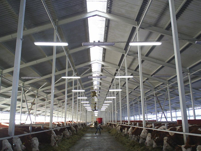 � ������������� �������-�������� ���� � ��������� ������� �������� ������ 20 ���������� ������