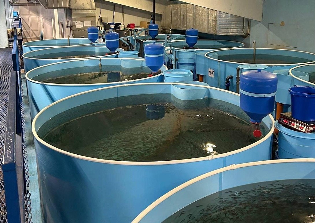 ������� ����������� ������������ ������� ����� ������������ ������ ��� ������ ����� ���