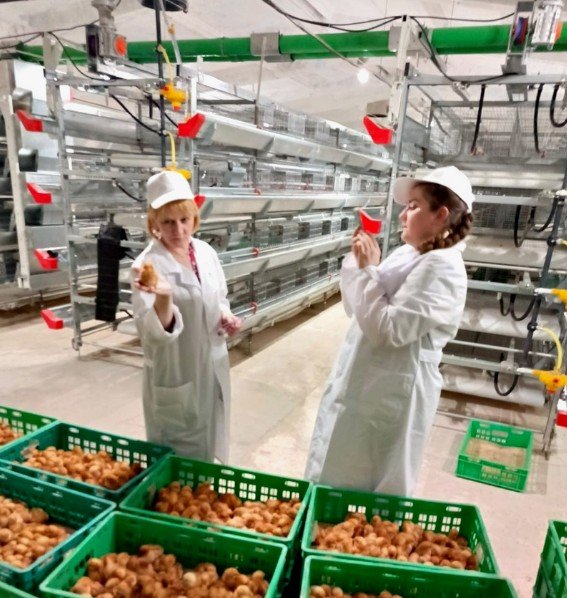 ����� ������� �� 70 ����� ����� ������� �� ��������� ������������