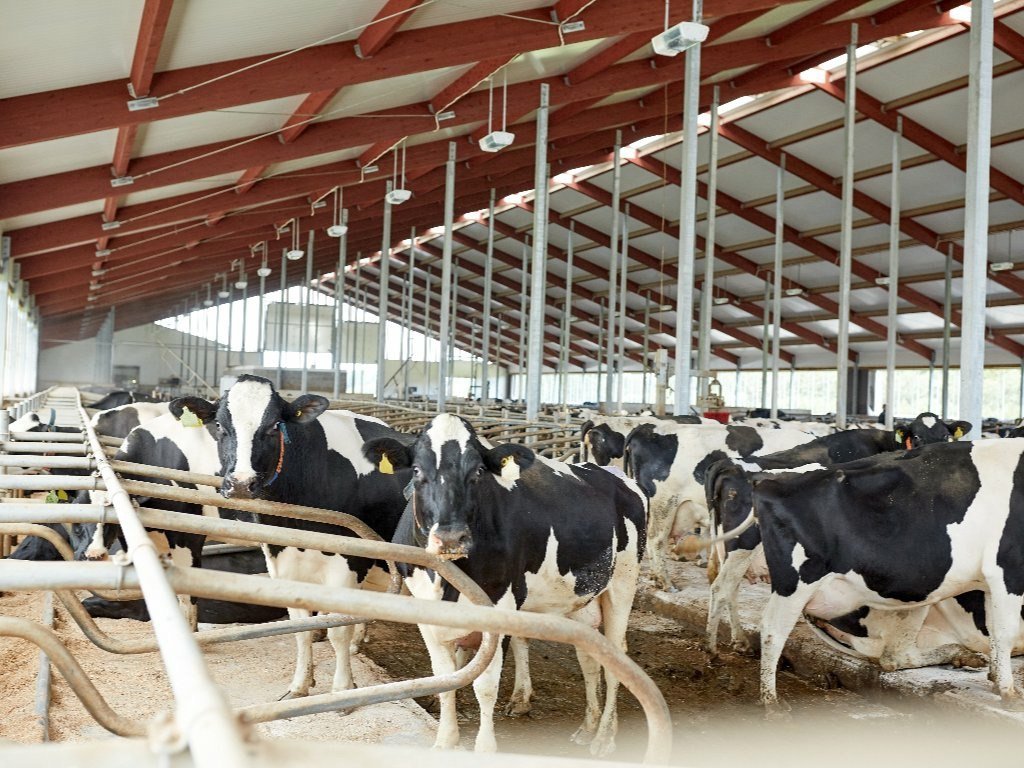 � ������� ������� ���������� �������� ����� � ������� �����