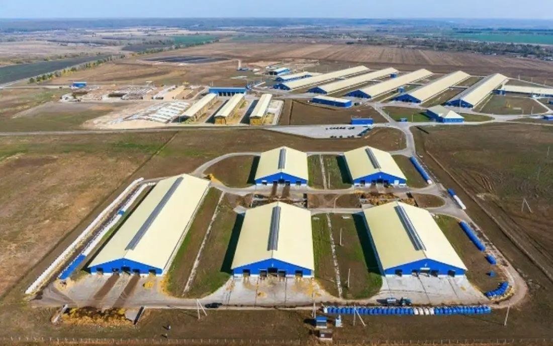 � ���������� ������� ���������� ������������� ������ �� ����������� ������� ��������������