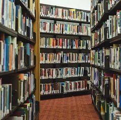 ����� ������ ���������� ������� � ������� ���� 