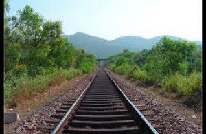 Около 200 км железных дорог построят в Москве до 2020 года
