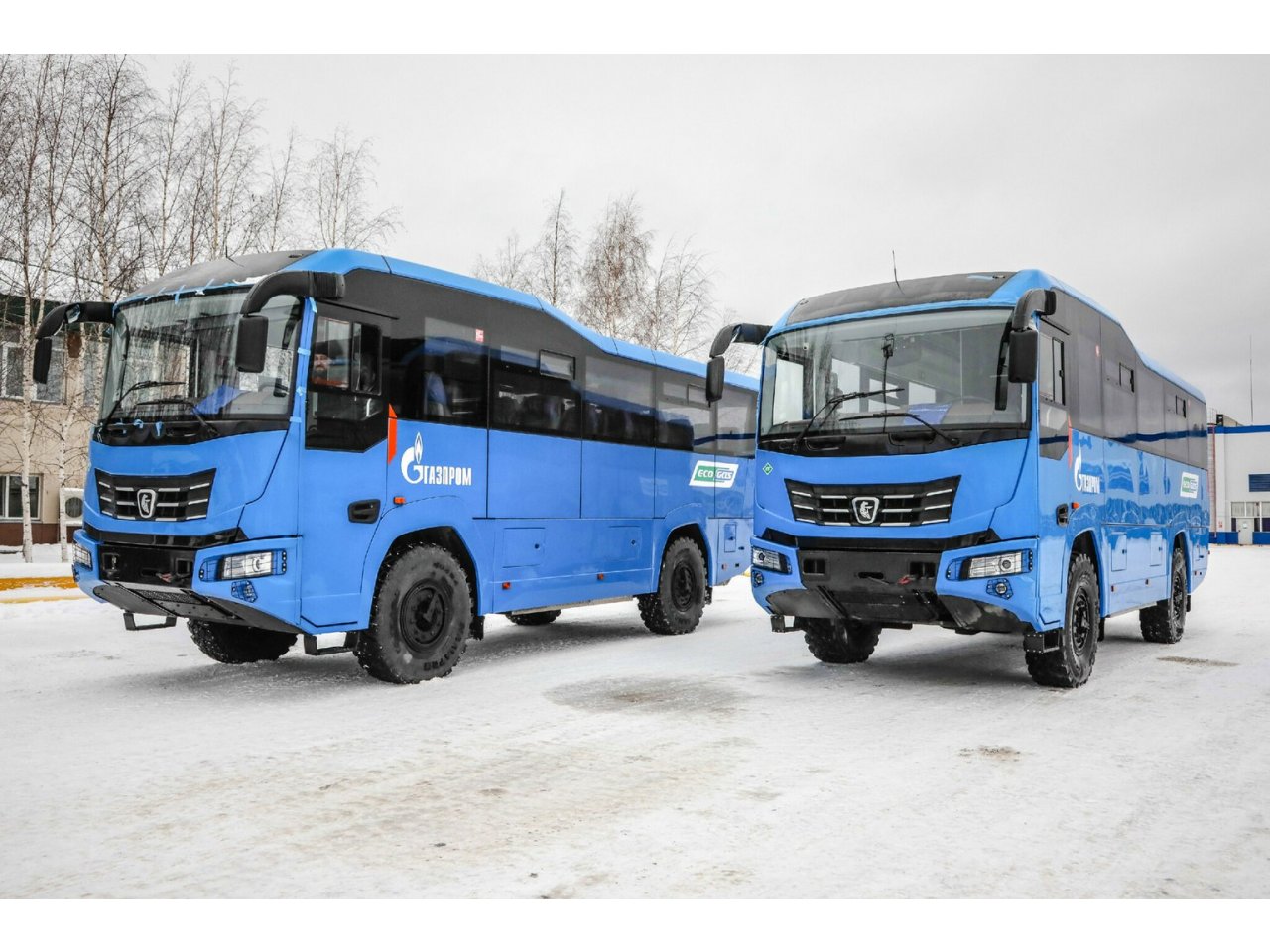 �� ����� � ���������