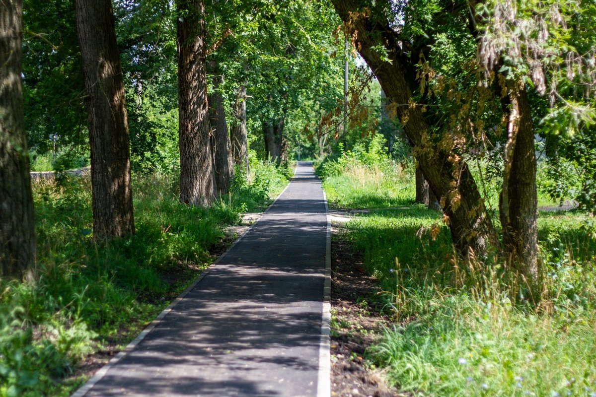 ����� ������� ��������������� � ������� ������� �������� �������